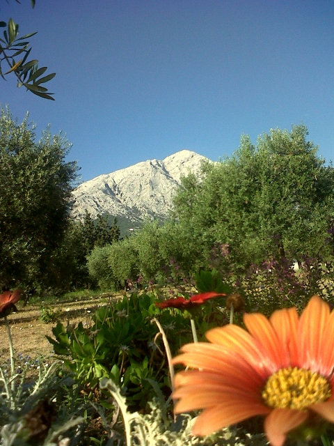 Sardegna, l\'amore per la terra (agriturismo Guthiddai, Oliena)